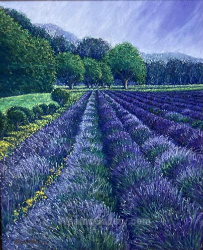 Lavender Festival by Edna Beauchemin